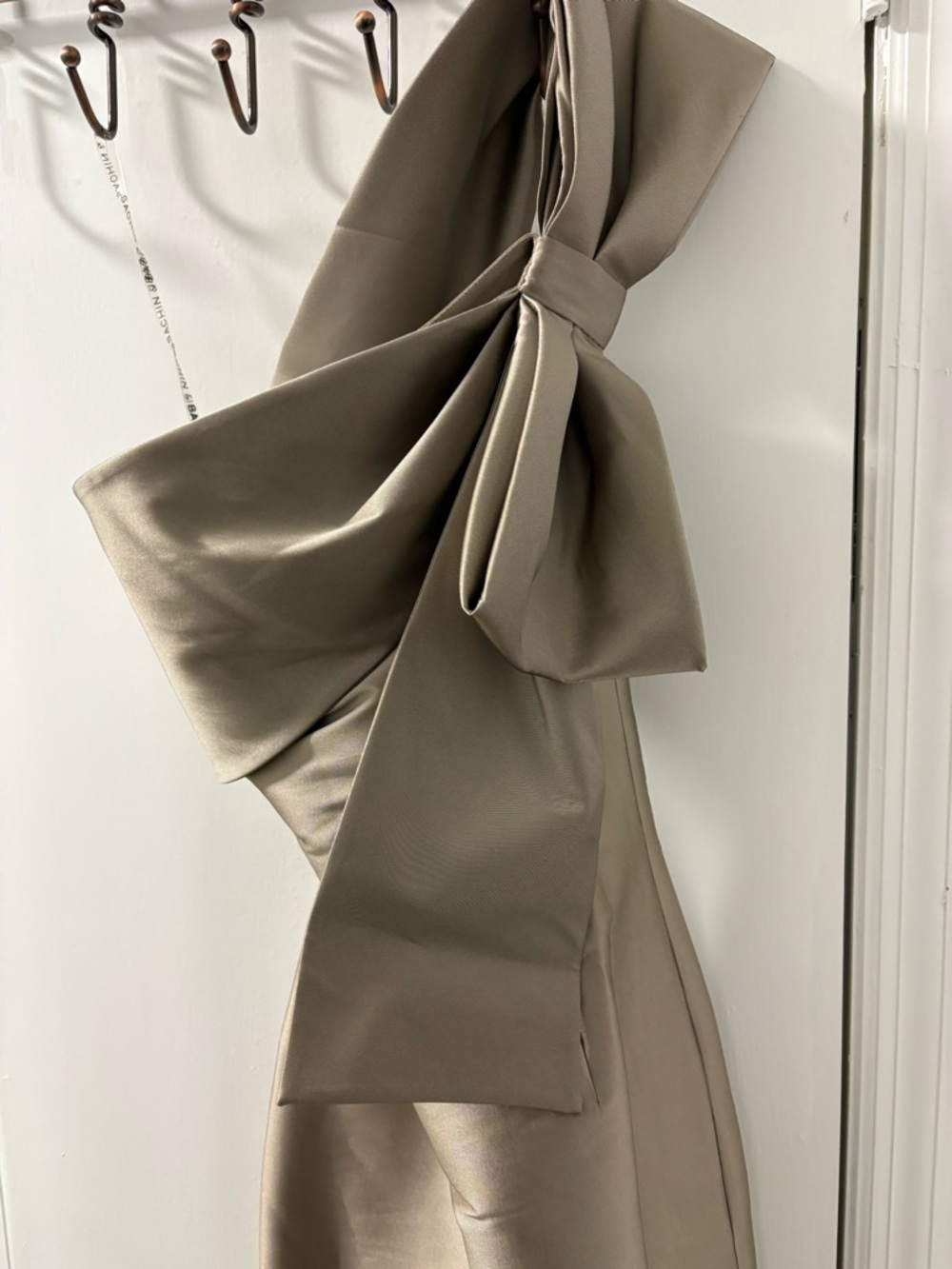 Sachin + Babi One-Shoulder Maxi Dress in Taupe with Bow Detail - Picture 13 of 15